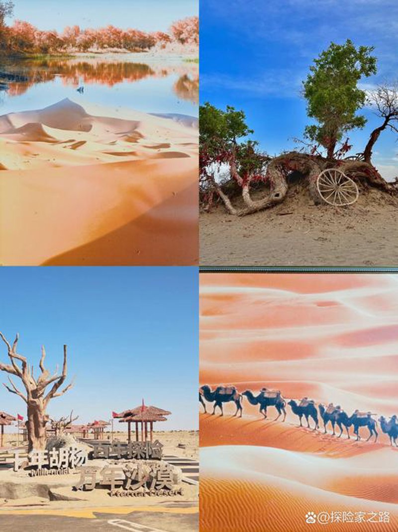 沙漠旅游