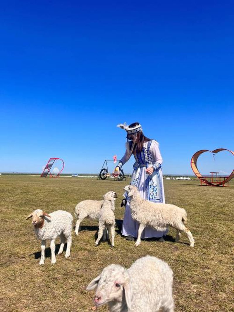 内蒙古跟团游：一次探索壮美自然与悠久历史的旅程
